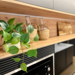 Apartamentos y casas vacacionales en Oviedo 11