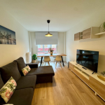 Apartamentos y casas vacacionales en Oviedo 11