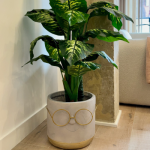 Apartamentos y casas vacacionales en Oviedo 2